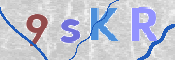 CAPTCHA 驗證圖片