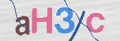 CAPTCHA 驗證圖片