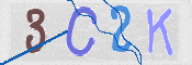 CAPTCHA 驗證圖片