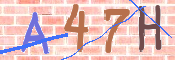 CAPTCHA 驗證圖片