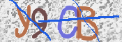 CAPTCHA 驗證圖片