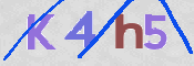 CAPTCHA 驗證圖片