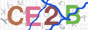 CAPTCHA 驗證圖片