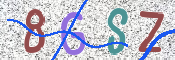 CAPTCHA 驗證圖片