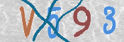 CAPTCHA 驗證圖片