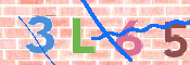 CAPTCHA 驗證圖片