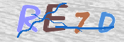 CAPTCHA 驗證圖片