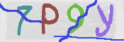 CAPTCHA 驗證圖片