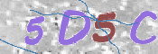 CAPTCHA 驗證圖片