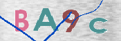 CAPTCHA 驗證圖片