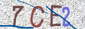 CAPTCHA 驗證圖片