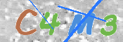 CAPTCHA 驗證圖片