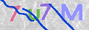 CAPTCHA 驗證圖片