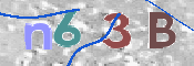 CAPTCHA 驗證圖片