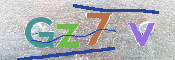 CAPTCHA 驗證圖片
