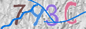 CAPTCHA 驗證圖片