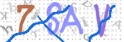 CAPTCHA 驗證圖片