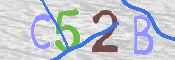 CAPTCHA 驗證圖片