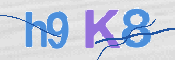 CAPTCHA 驗證圖片