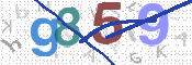 CAPTCHA 驗證圖片