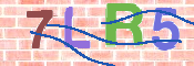 CAPTCHA 驗證圖片