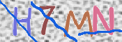 CAPTCHA 驗證圖片