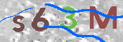 CAPTCHA 驗證圖片