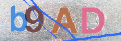 CAPTCHA 驗證圖片