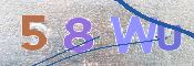 CAPTCHA 驗證圖片