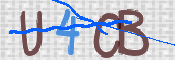 CAPTCHA 驗證圖片