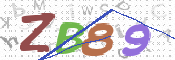 CAPTCHA 驗證圖片