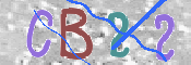 CAPTCHA 驗證圖片
