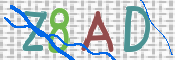 CAPTCHA 驗證圖片