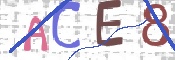 CAPTCHA 驗證圖片