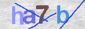 CAPTCHA 驗證圖片