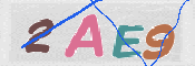 CAPTCHA 驗證圖片