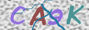 CAPTCHA 驗證圖片