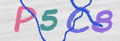 CAPTCHA 驗證圖片