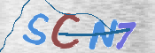 CAPTCHA 驗證圖片