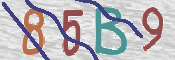 CAPTCHA 驗證圖片