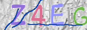 CAPTCHA 驗證圖片