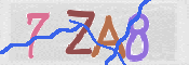 CAPTCHA 驗證圖片
