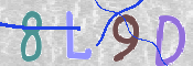 CAPTCHA 驗證圖片