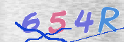 CAPTCHA 驗證圖片