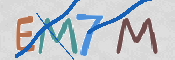CAPTCHA 驗證圖片