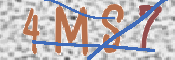 CAPTCHA 驗證圖片