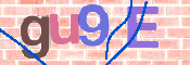 CAPTCHA 驗證圖片