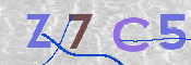 CAPTCHA 驗證圖片