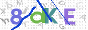 CAPTCHA 驗證圖片