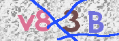 CAPTCHA 驗證圖片